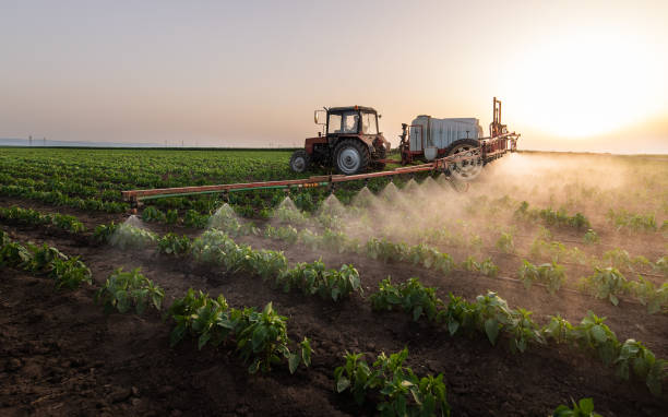 Best Mosquito Control Services  in Browns Lake, WI
