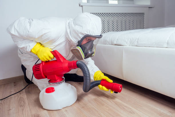 Best Bed Bug Extermination  in Browns Lake, WI