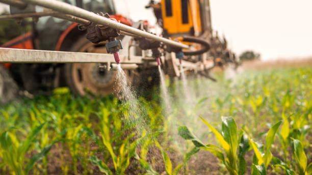 Best Commercial Pest Control Services  in Browns Lake, WI